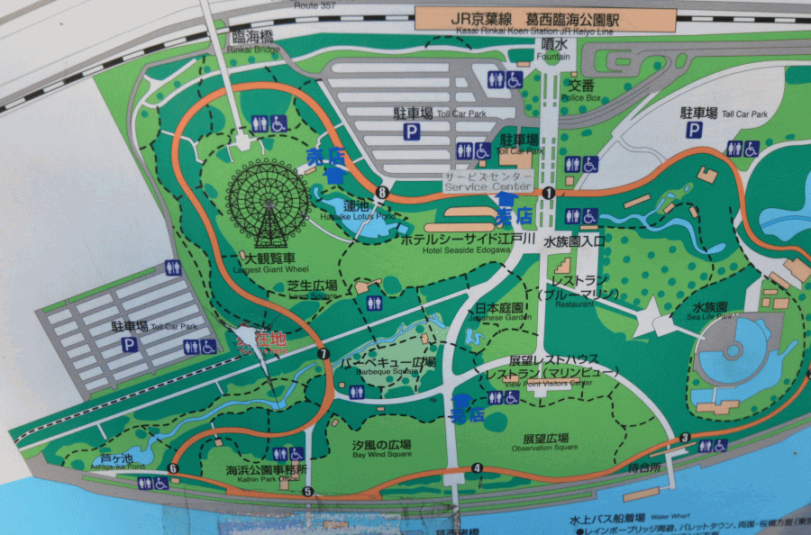 公園ロケハン情報 葛西臨海公園