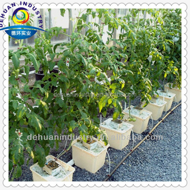 Cheap Diy Bato/dutch Bucket Industrial Hydroponic System - Buy Cheap ...