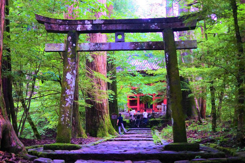 運試しや子宝運まで 栃木 日光 滝尾神社 でパワーチャージ 栃木県 トラベルjp 旅行ガイド