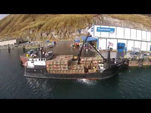 Video Bering Sea Webcam