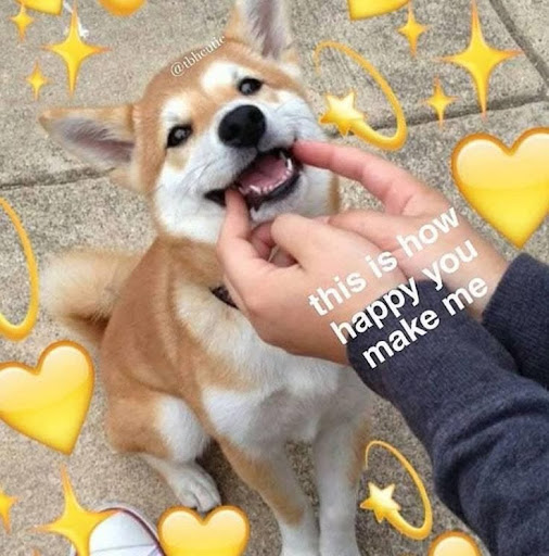 I Love My Friends Meme