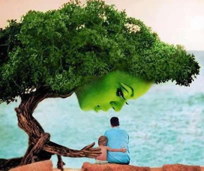 Thought for the day ; Plant a Tree, | Inspirational Quotes - Pictures - Motivational Thoughts ...