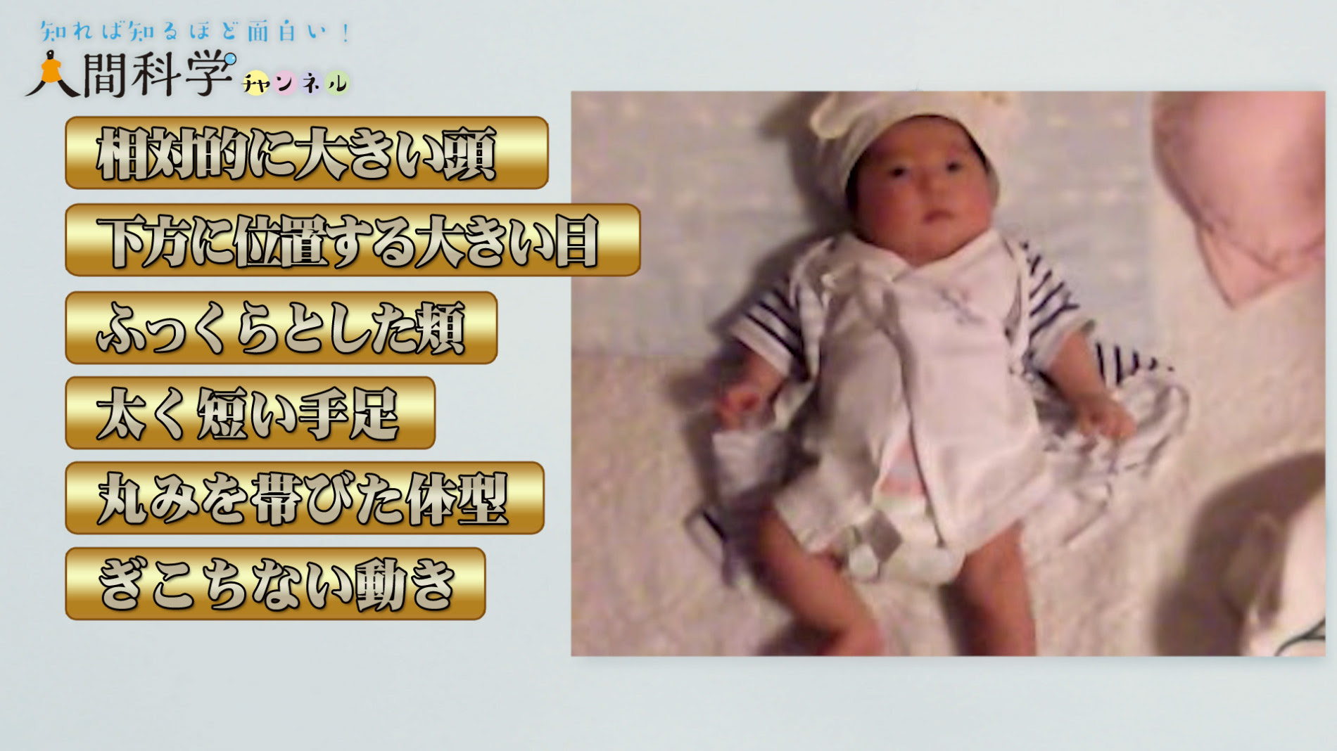 赤ちゃんの 秘密の武器 ベビーシェマ 東洋学園大学 人間科学チャンネル