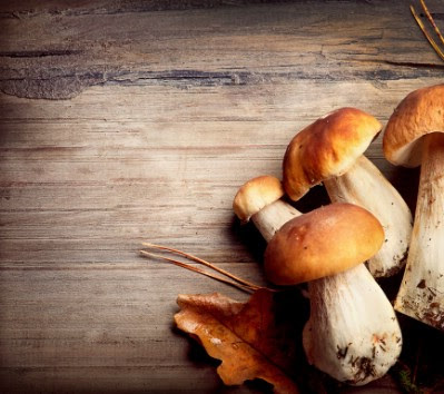 Mushrooms