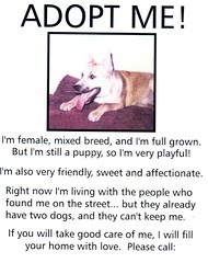 flyer 001