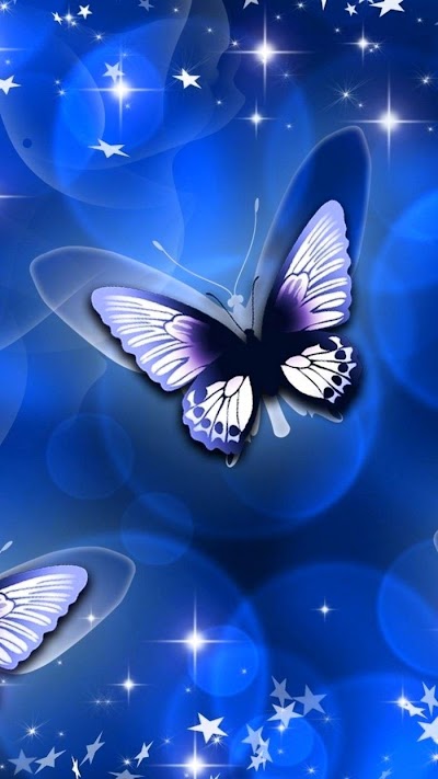Wallpaper Butterfly Blue Images