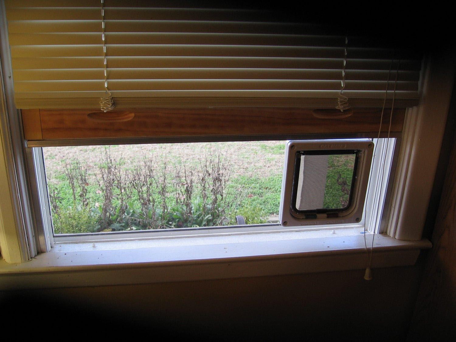 Large Clear Plexiglass  Window Mounted Cat  Door by 