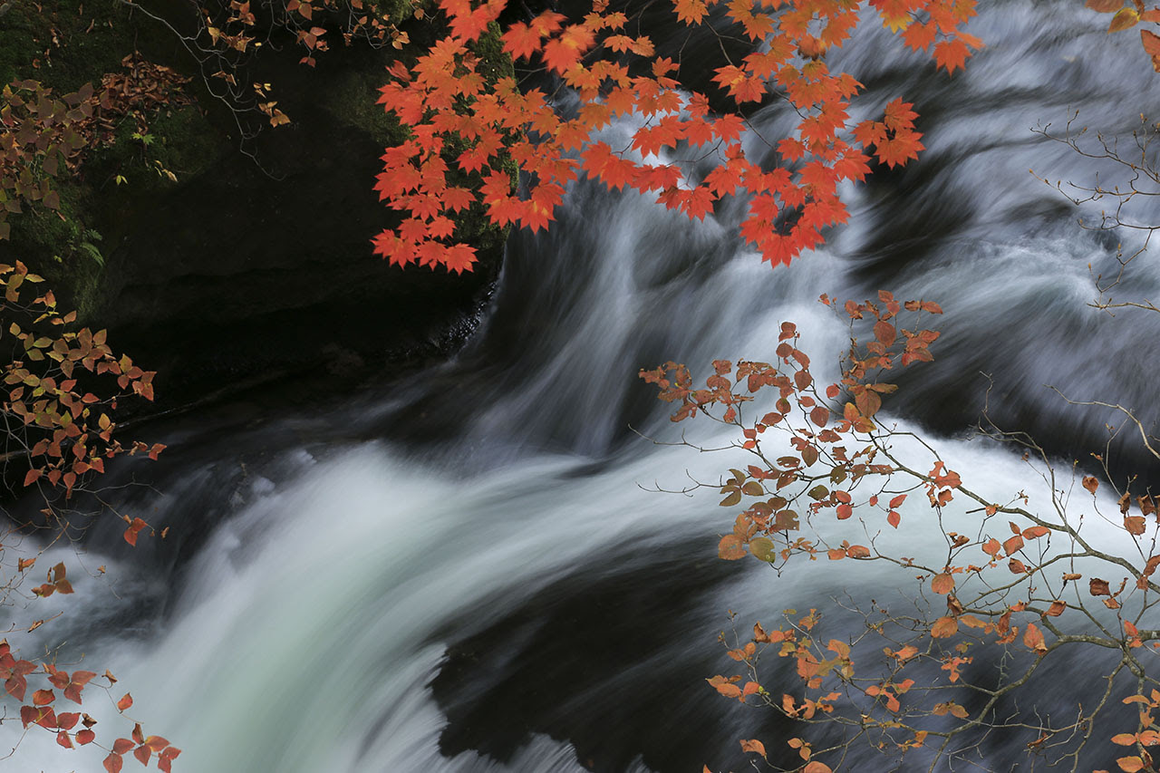 紅葉風景壁紙 竜頭の滝 四季の山野草