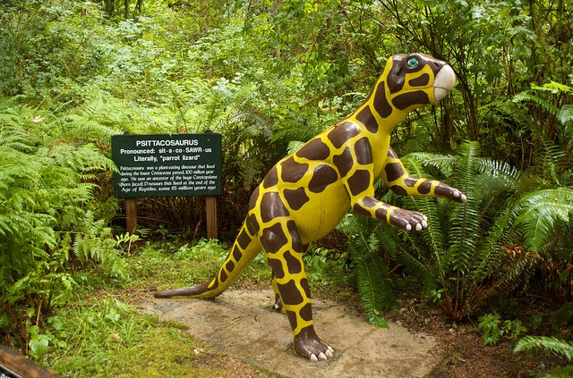 Vacation V- Prehistoric Gardens 14