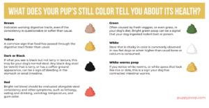  use our healthy dog poop chart to discover if your dogs poop is healthy