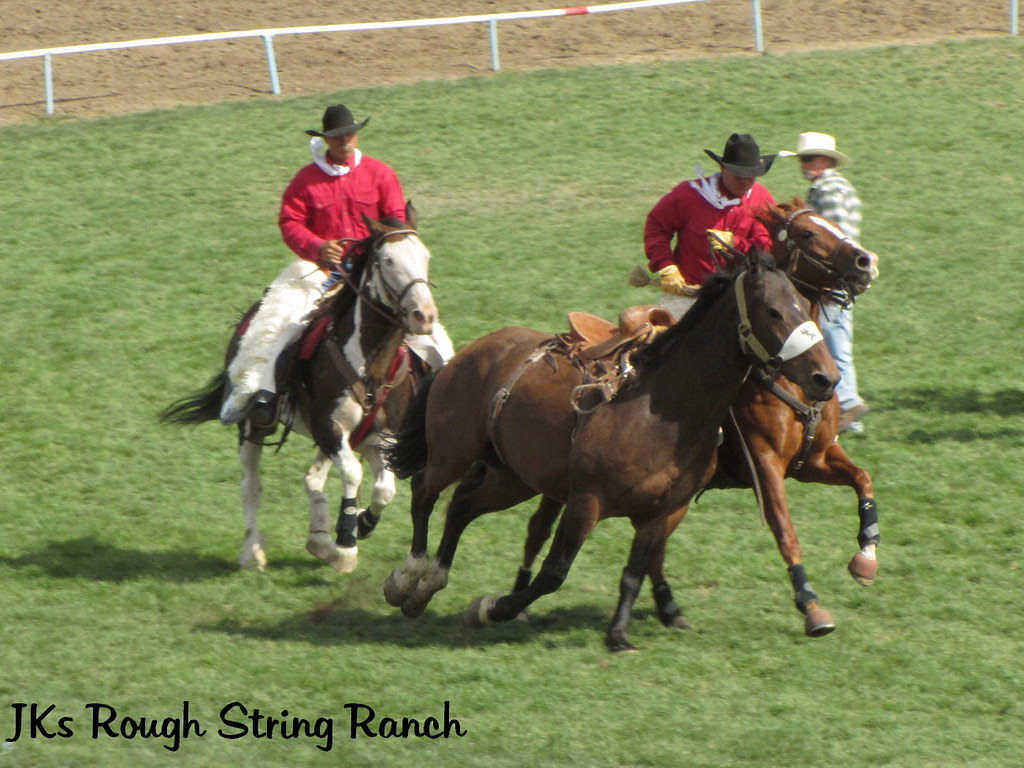 Hard Workin' Pickup Horses