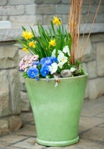 Creative Planter Ideas | ThriftyFun