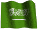 Arabie Saoudite, du Commerce et des informations d'affaires et des vers de privilèges l'Arabie Saoudite, le golfe Persique et de la zone Moyen-Orient.