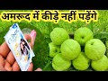                                                             मानसून सीजन में किचन गार्डन के लिए सब्जियां उगाने की पूरी जानकारी