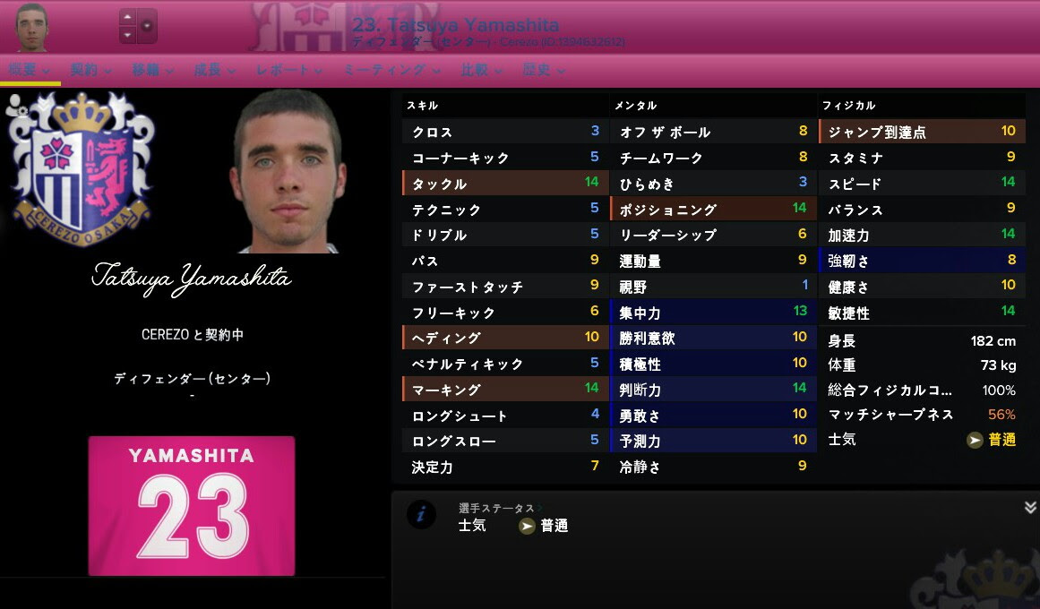 Jleague用facepack For Fm17 雨音のfootballmanager放浪記