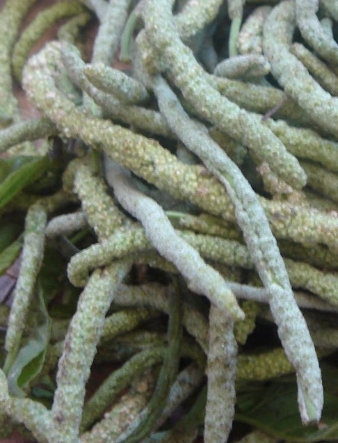 alukoncloseup