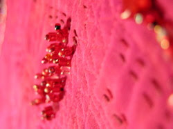 Dscn3039_2