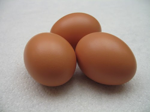 First eggs from my new chickens