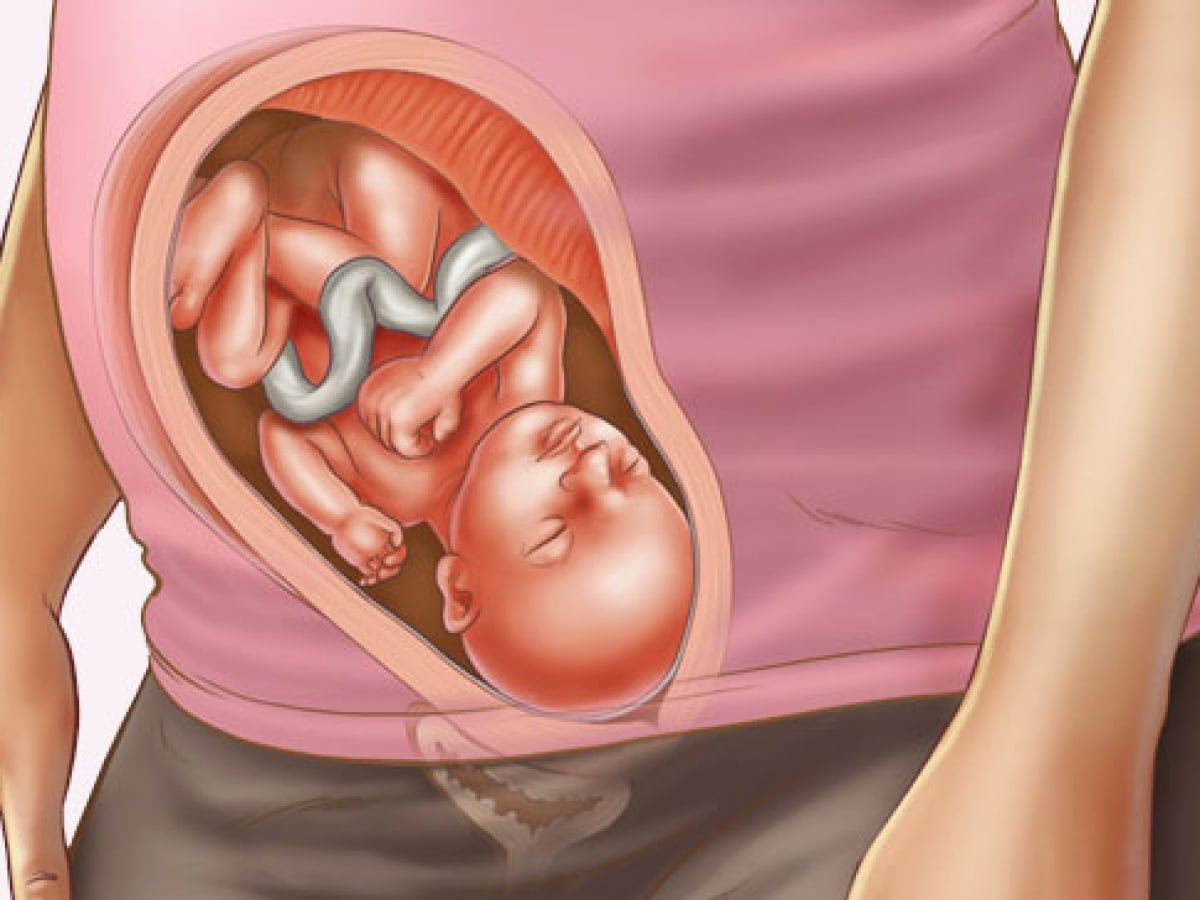 28 Semanas De Embarazo Septimo Mes Embarazoymas