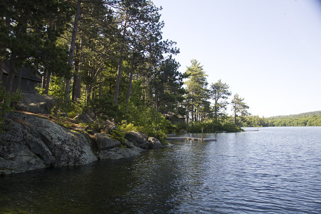 Squam Art Workshops