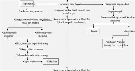 pathway hepatitis blog kesehatan