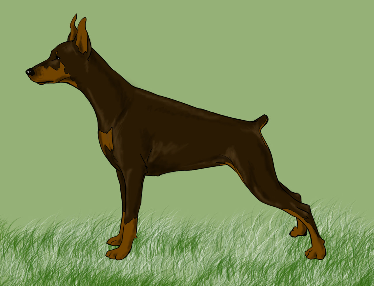How to Draw a Realistic Dog: 5 Steps (with Pictures) - wikiHow How to draw a dog.