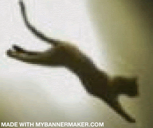 Create your own banner at mybannermaker.com!