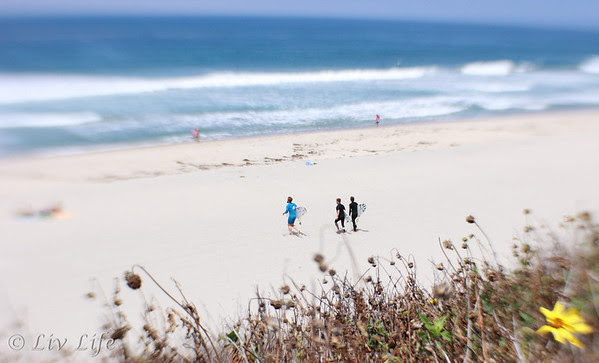 Carlsbad State Beach | Lensbaby Composer Pro