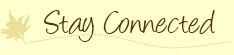 Stay Connected