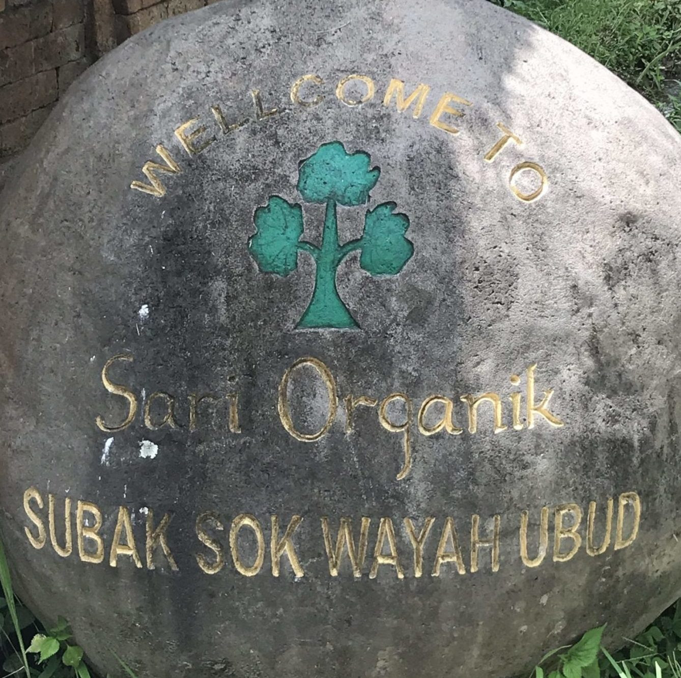 Sari Organik サリ オーガニック へ 山の精霊たちとうたう シンプルコズミックライフ