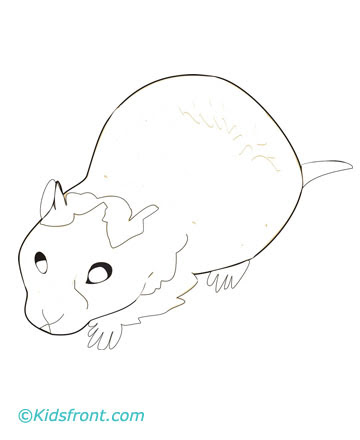 Hamster Coloring Pages Printable