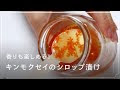 [最も人気のある！] 車 芳香剤 葉っぱ 名前 147637-車 芳香剤 葉っぱ 名前