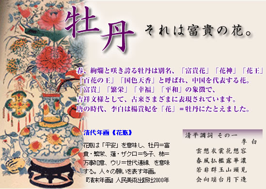 牡丹それは富貴の花 62号