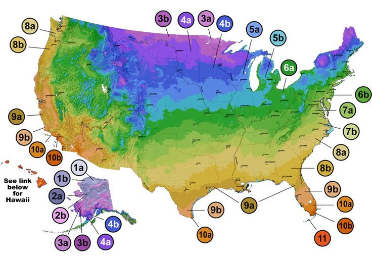Hardiness Zones | Gardening / Landscaping | Pinterest