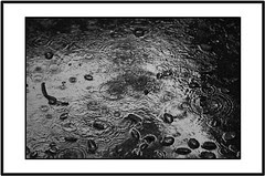 rain_b_w