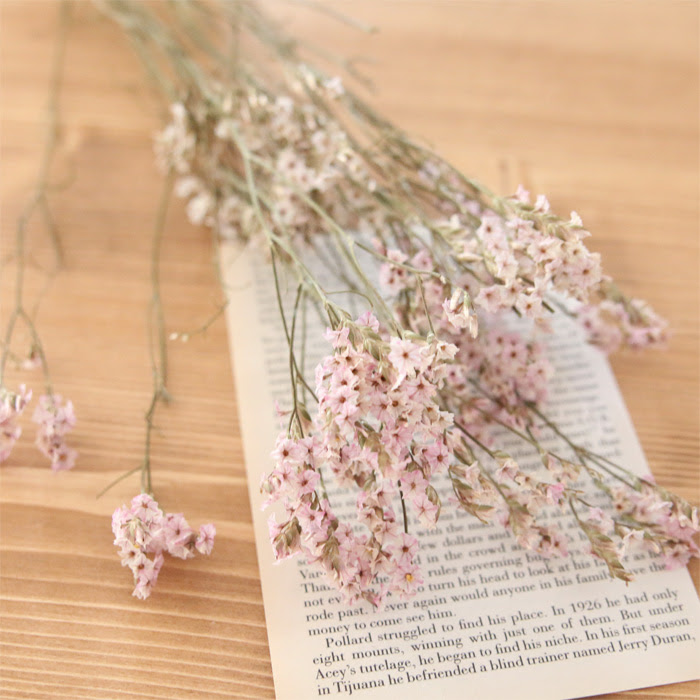 小分け 茎付き Hbスターチス 淡いピンク ドライフラワー オシャレかわいい雑貨のお店 Acorn Style