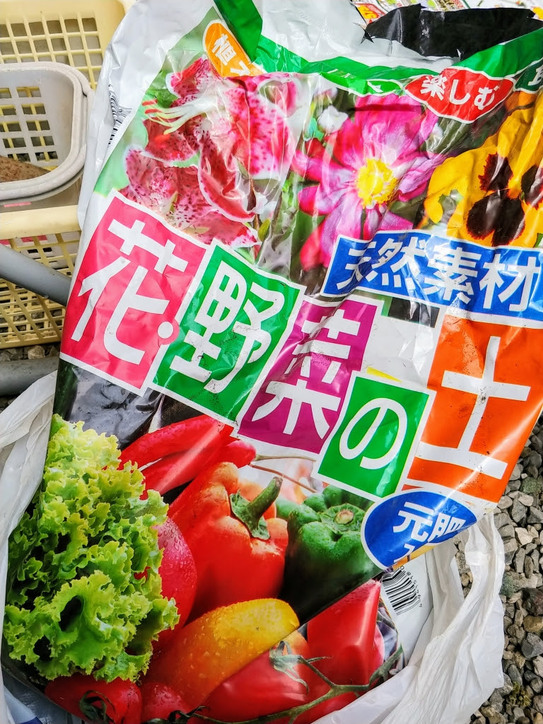 100均の花肥料でミニバラの植え替えをしたよ 初めてのバラ栽培にチャレンジ ベランダでガーデニング オタちょき オタク女子が貯金美人になるためのブログ