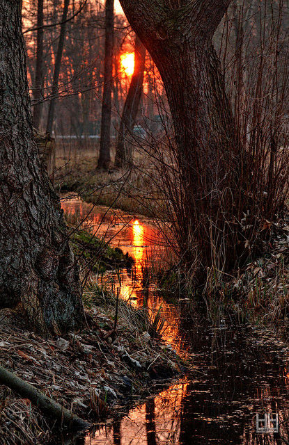 Reflection, Meklinburg, Germany