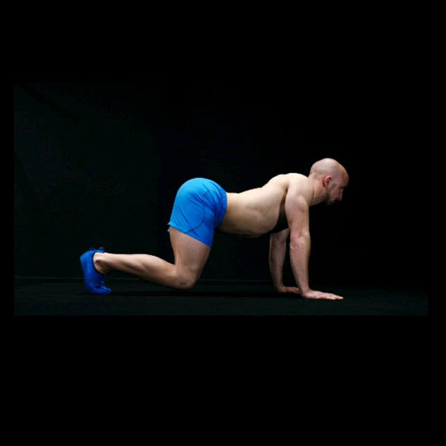 Advanced Cat Cow Exercise How To Workout Trainer By Skimble