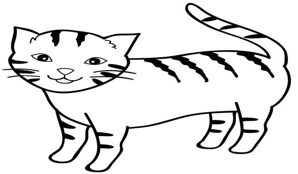 Inspirasi Baru 21+ Bolehkah Mewarnai Bulu Kucing