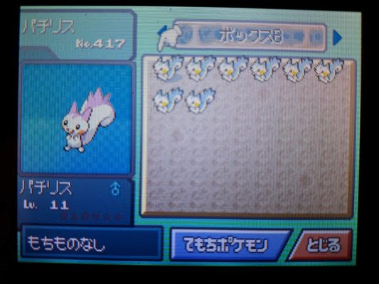 無料ダウンロード ポケモン ものひろい ダイパ ポケモンの壁紙