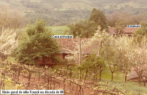 sitioanos80