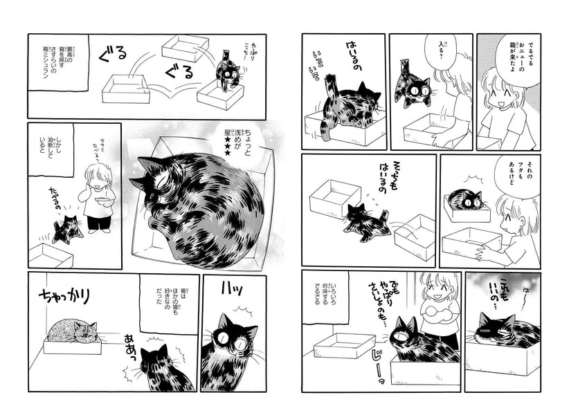 新 家庭内猫王国 １ いわみちさくら
