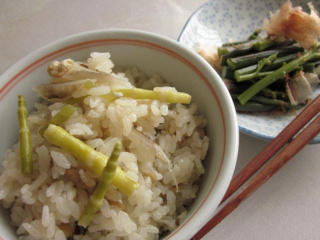 フキ笹竹ご飯 ワラビのおひたし 猫と園芸