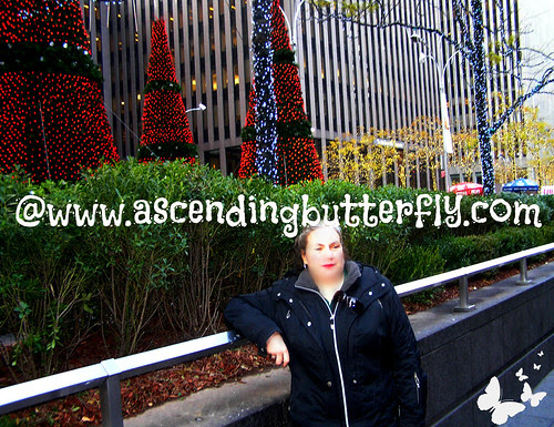 mama butterfly in front of trees WATERMARKED