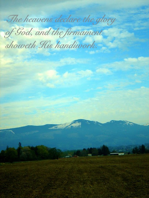 Photo 1 - 2012-05-04