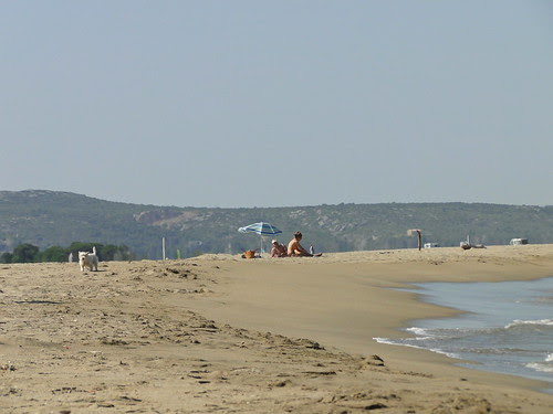 DSC07480