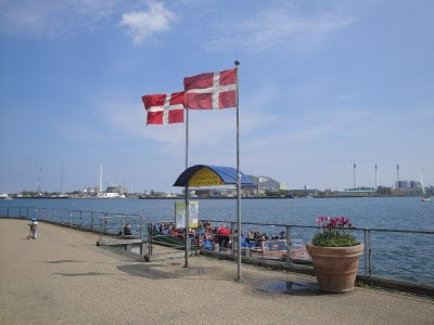 DSC07111.jpg