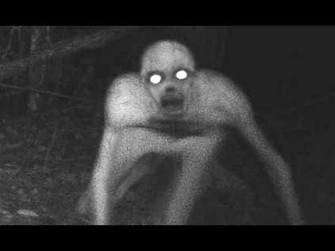 閲覧注意 恐怖画像 不思議な生き物uma画像集 日本国内 海外旅行 人気 格安 おススメ旅行