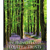 Unlocking Equity And Trusts : Oct 05, 2021 · invest in direct mutual funds & new fund offer (nfo) discover 5000+ schemes.